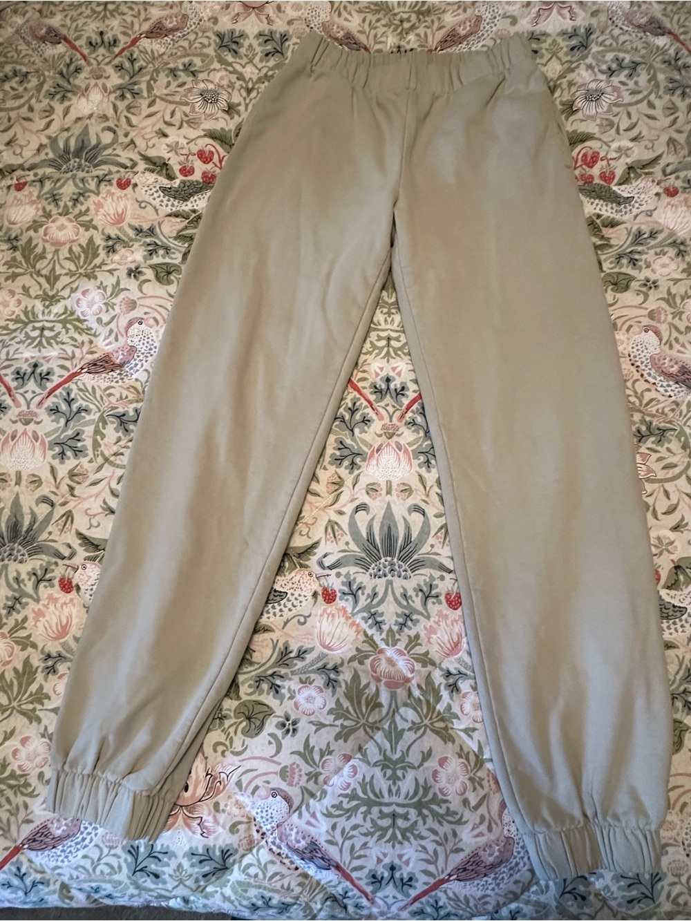 Brandy Melville Light Green Sweatpants
